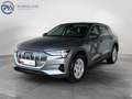 Audi e-tron 55 quattro 300 kW Business Grau - thumbnail 1