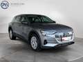 Audi e-tron 55 quattro 300 kW Business Grau - thumbnail 7