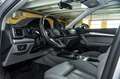 Audi Q5 40 2.0 tdi mhev 12V quattro s-tronic Silber - thumbnail 10