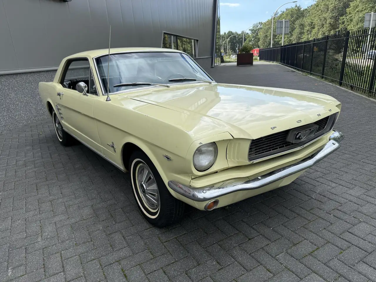 Ford Mustang Coupe, foto 10
