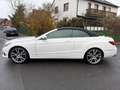 Mercedes-Benz E 300 E Cabrio E 300 CGI Leder | Scheckh. | +++ Weiß - thumbnail 4