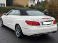 Mercedes-Benz E 300 E Cabrio E 300 CGI Leder | Scheckh. | +++ Weiß - thumbnail 5