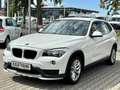 BMW X1 16 d sDrive 16d PDC+Sitzh+Allwetterr. Blanc - thumbnail 1