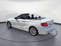 BMW 218 i Cabrio Sport Line Navi Business Klimaaut. White - thumbnail 4