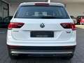 Volkswagen Tiguan 2.0 TSI 4Motion Offroad-Paket | AHK | ACC White - thumbnail 7