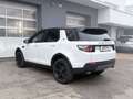 Land Rover Discovery Sport 2.2 4WD SE Aut. **7Sitz/Panorama** Weiß - thumbnail 5