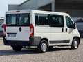 Citroen Jumper ATLANTE 9 POSTI COME FIAT DUCATO PANORAMA Bianco - thumbnail 5