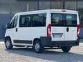 Citroen Jumper ATLANTE 9 POSTI COME FIAT DUCATO PANORAMA Bianco - thumbnail 3