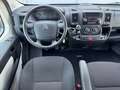 Citroen Jumper ATLANTE 9 POSTI COME FIAT DUCATO PANORAMA Bianco - thumbnail 9