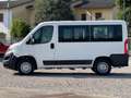 Citroen Jumper ATLANTE 9 POSTI COME FIAT DUCATO PANORAMA Bianco - thumbnail 2