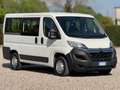 Citroen Jumper ATLANTE 9 POSTI COME FIAT DUCATO PANORAMA Bianco - thumbnail 7