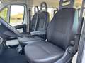 Citroen Jumper ATLANTE 9 POSTI COME FIAT DUCATO PANORAMA Bianco - thumbnail 12