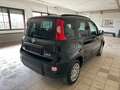 Fiat Panda 1.0 GSE Hybrid Cross Schwarz - thumbnail 12