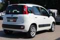 Fiat Panda 0.9 TwinAir Turbo Lounge Weiß - thumbnail 4