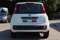 Fiat Panda 0.9 TwinAir Turbo Lounge Weiß - thumbnail 5