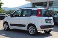 Fiat Panda 0.9 TwinAir Turbo Lounge Weiß - thumbnail 6