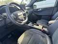 Ford Kuga Kuga ST Line X 2.5i FHEV Grigio - thumbnail 15