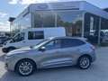 Ford Kuga Kuga ST Line X 2.5i FHEV Grigio - thumbnail 8