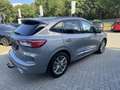 Ford Kuga Kuga ST Line X 2.5i FHEV Grigio - thumbnail 5