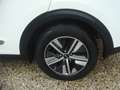 Kia Niro 1.6 GDi PHEV DynamicPlusLine Wit - thumbnail 8