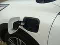 Kia Niro 1.6 GDi PHEV DynamicPlusLine Wit - thumbnail 7