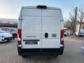 Fiat Ducato Kastenwagen 35 L2H2 140 Multijet*LED*KAM* Weiß - thumbnail 6