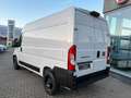 Fiat Ducato Kastenwagen 35 L2H2 140 Multijet*LED*KAM* Weiß - thumbnail 7