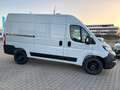 Fiat Ducato Kastenwagen 35 L2H2 140 Multijet*LED*KAM* Weiß - thumbnail 4