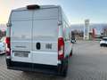 Fiat Ducato Kastenwagen 35 L2H2 140 Multijet*LED*KAM* Weiß - thumbnail 5