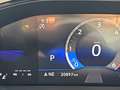 Volkswagen T-Roc 2.0 tdi life 150cv dsg Blu/Azzurro - thumbnail 11