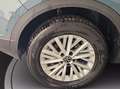 Volkswagen T-Roc 2.0 tdi life 150cv dsg Blu/Azzurro - thumbnail 13