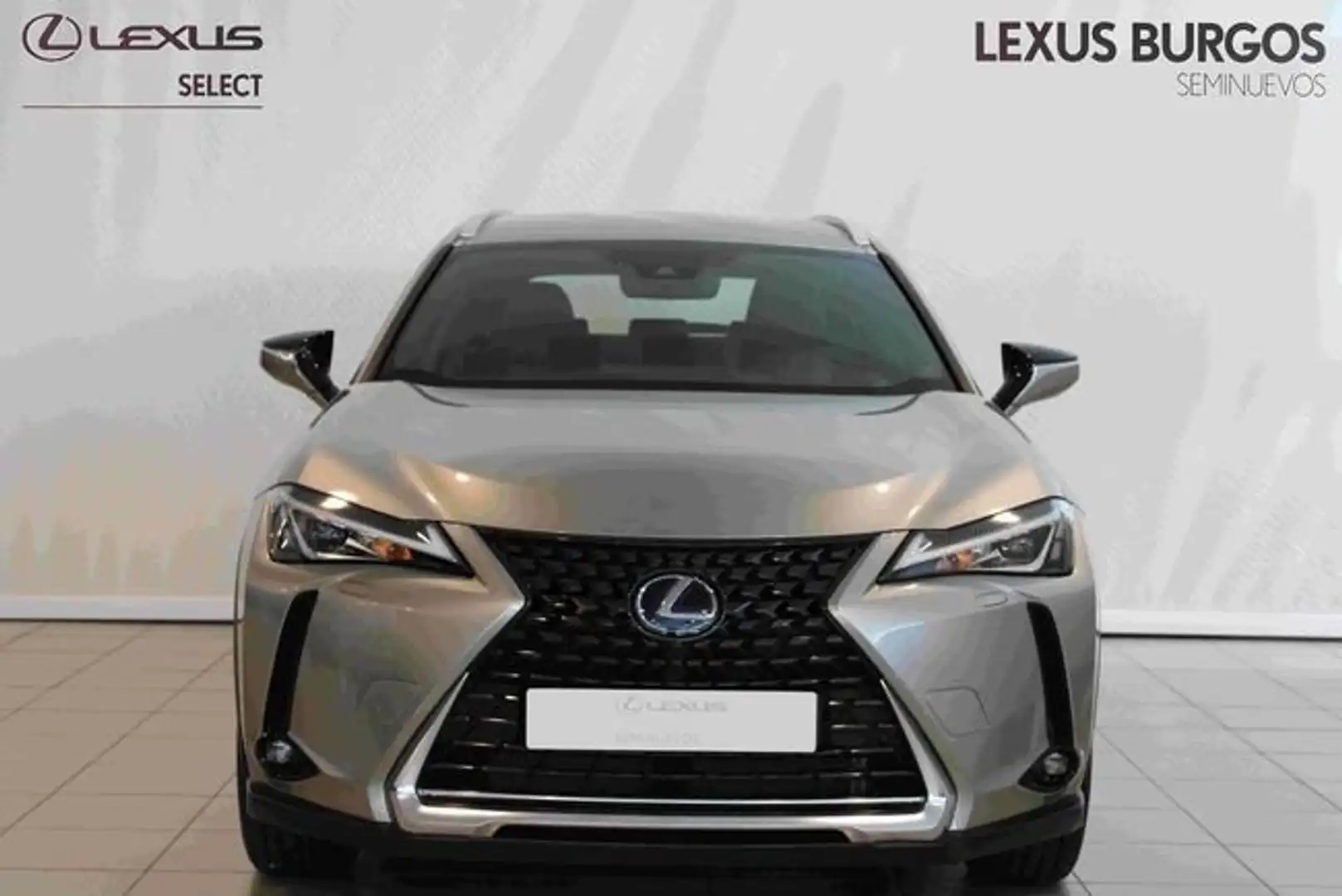 Lexus UX 200 2WD BUSINESS Gris - 2