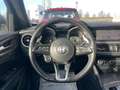 Alfa Romeo Stelvio Stelvio 2.2 t Veloce Q4 210cv auto Gris - thumbnail 21