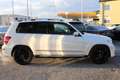 Mercedes-Benz GLK 350 GLK 350 CDI 4Matic Designo AMG Sportpaket Blanc - thumbnail 7