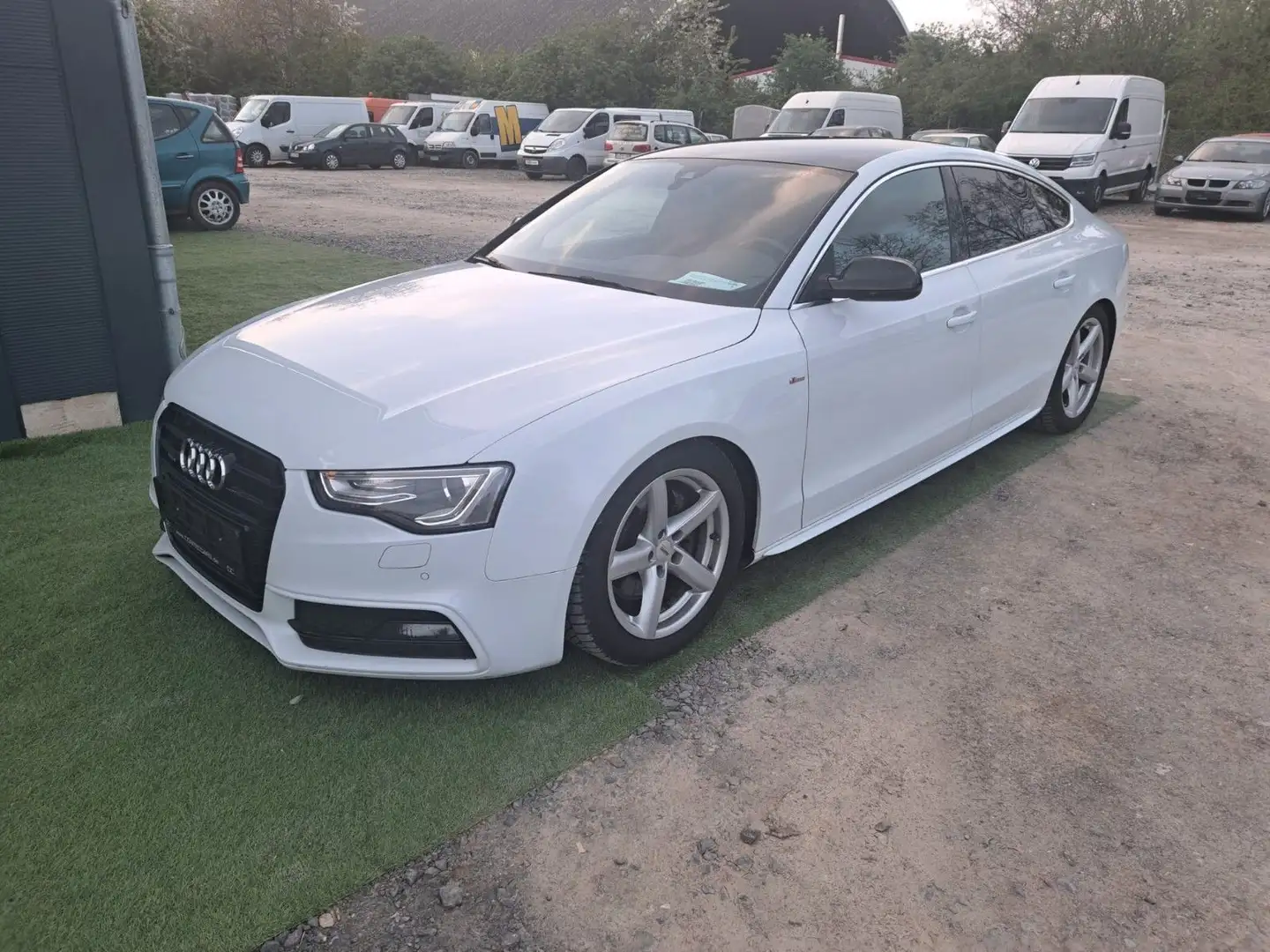 Audi A5 Sportback 3.0 TDI quattro*S-LINE*KAMERA*NAVI* Weiß - 1