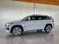 Skoda Kodiaq RS 4x4 Grau - thumbnail 1