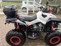 Can-Am Renegade Sport 570 - thumbnail 4