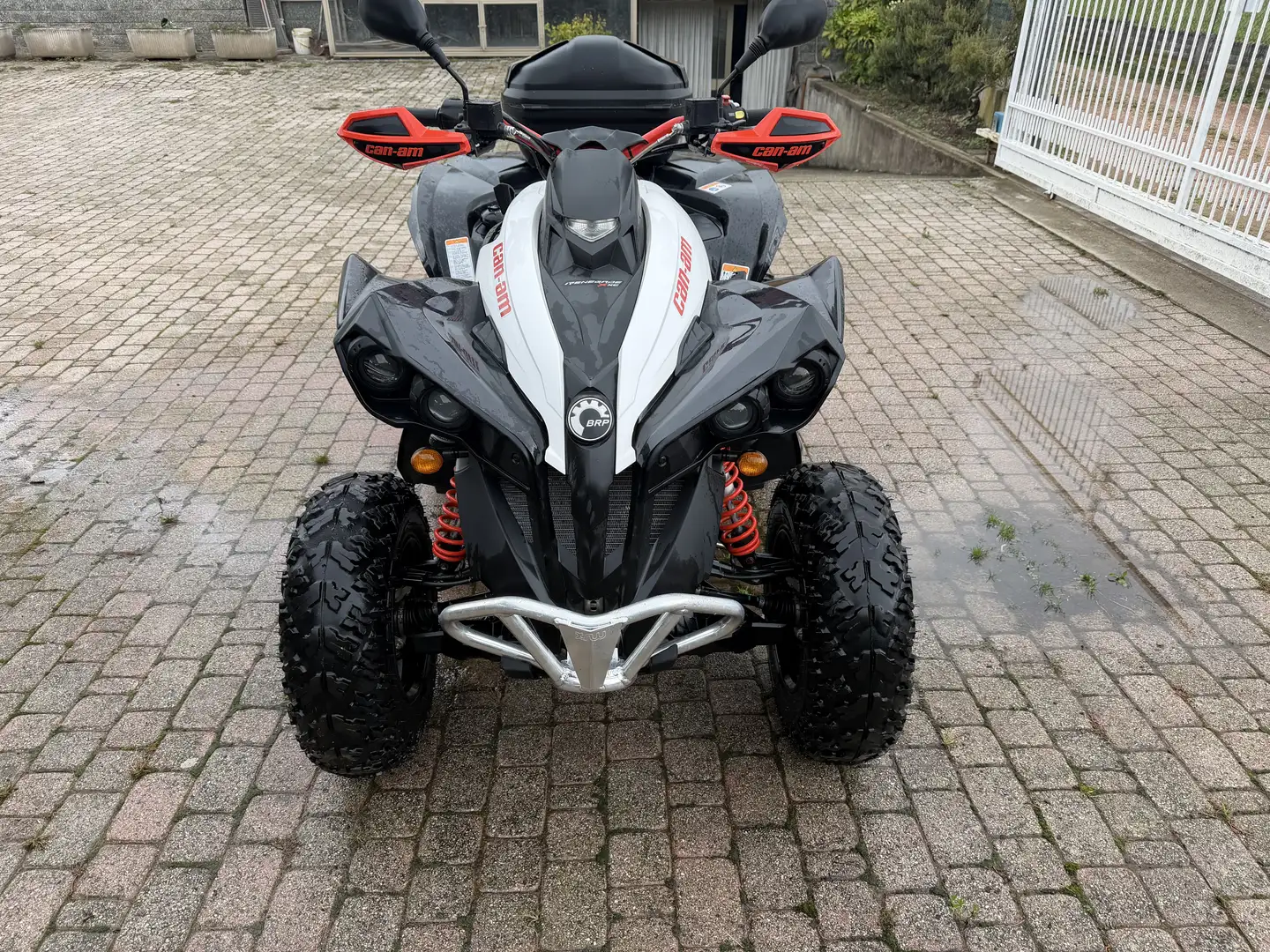 Can-Am Renegade Sport 570 - 1