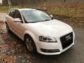 Audi A3 A3 5p 1.9 tdi Ambiente 110cv auto Bianco - thumbnail 2