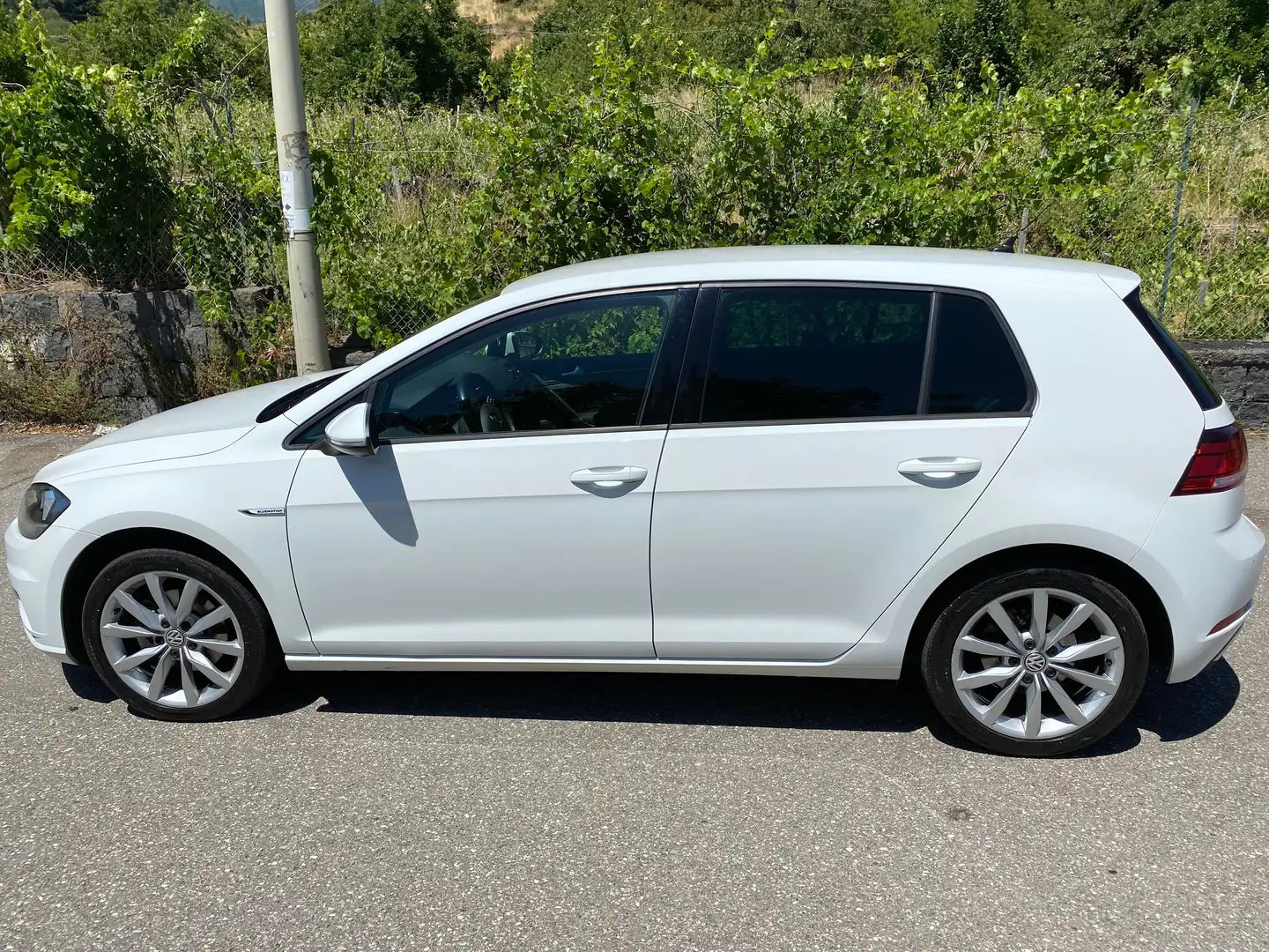 Volkswagen Golf Golf VII 2017 5p5p 1.5 tgi executive 130cv Bianco - 2