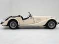 Morgan 4/4 1800 EFI '95 CHD9471 Beige - thumbnail 6