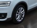 Audi Q3 2,0 TDI quattro DPF S-tronic Weiß - thumbnail 9