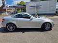Mercedes-Benz SLK 200 SLK-Klasse Roadster Kompressor Automatik Silber - thumbnail 2