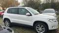 Volkswagen Tiguan Trend *MwSt. Ausweisbar Bianco - thumbnail 8