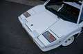 Lamborghini Countach LP5000S 5.2 V12 Project car Weiß - thumbnail 11