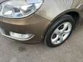 Skoda Roomster Family Braun - thumbnail 23