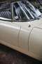 Jaguar E-Type S1 4.2 OTS - Restored condition - Matching! Blanco - thumbnail 16