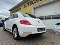 Volkswagen Beetle 1,2 TSI Design Blanco - thumbnail 10