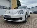 Volkswagen Beetle 1,2 TSI Design Blanco - thumbnail 3