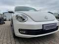 Volkswagen Beetle 1,2 TSI Design Blanco - thumbnail 4